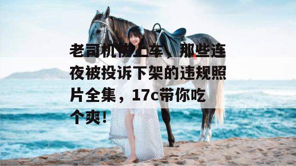 老司机快上车，那些连夜被投诉下架的违规照片全集，17c带你吃个爽！  第1张
